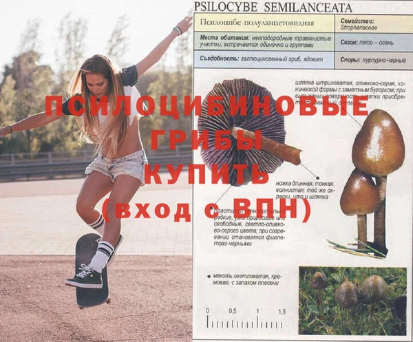 2c-b Абинск