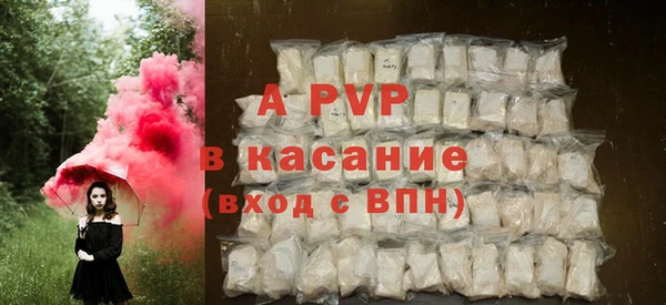 гидра Михайловка