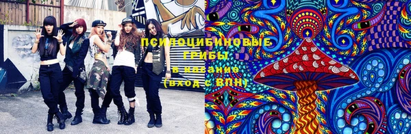 гидра Михайловка