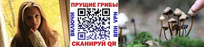 Галлюциногенные грибы GOLDEN TEACHER  наркота  Юрюзань 
